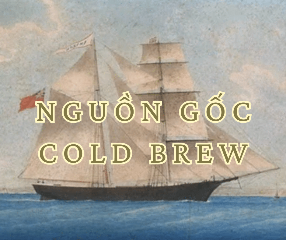 5 lợi ích từ cà phê Cold Brew